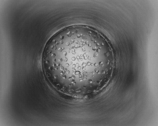 X0000101951513200807251124