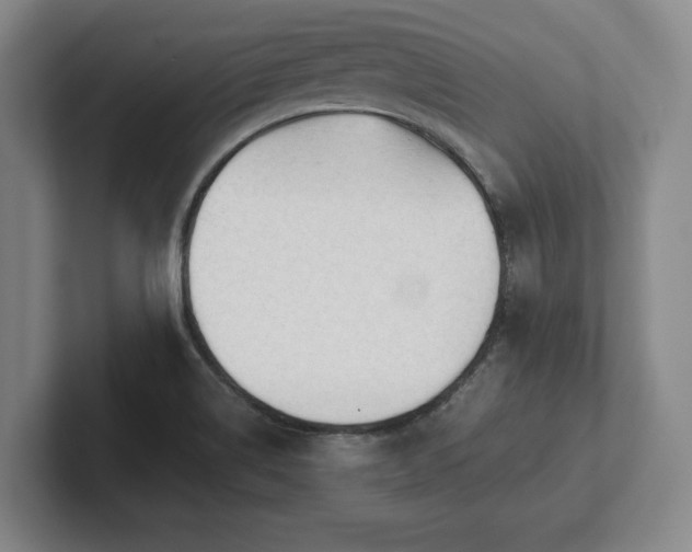 X0000101951514200807251124