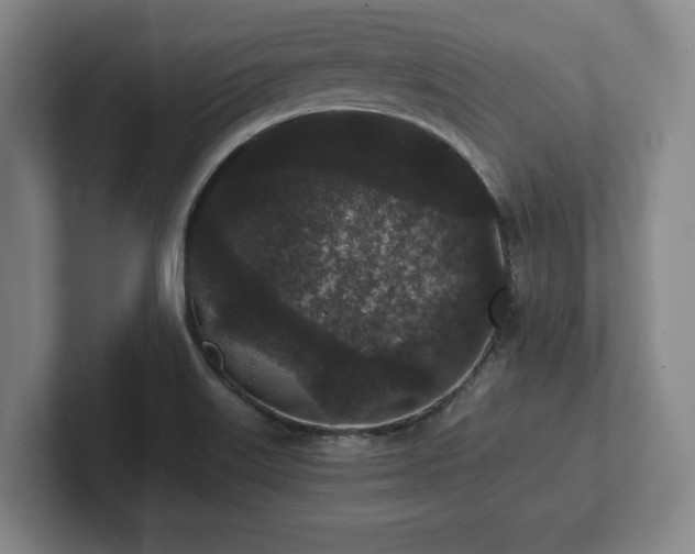 X0000101951515200807251124