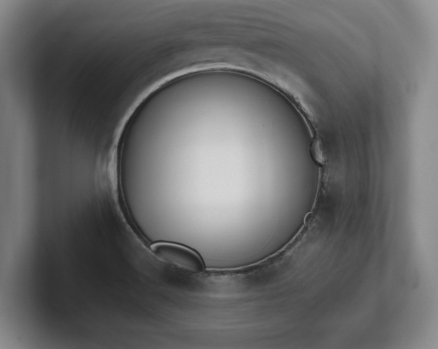 X0000101951516200807251124