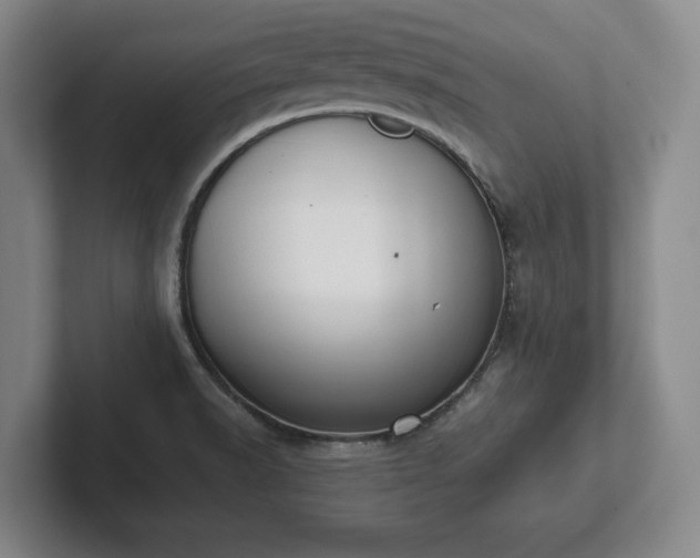 X0000101951518200807251124