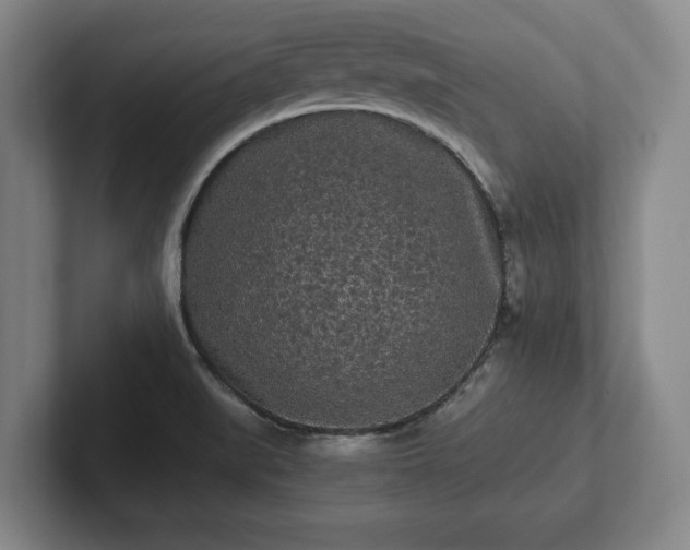 X0000101951519200807251124