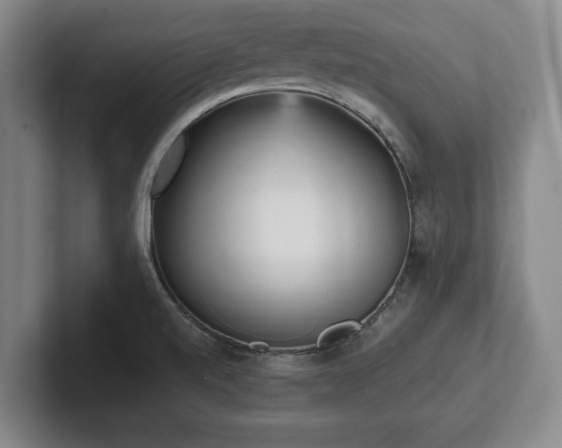 X0000101951520200807251124