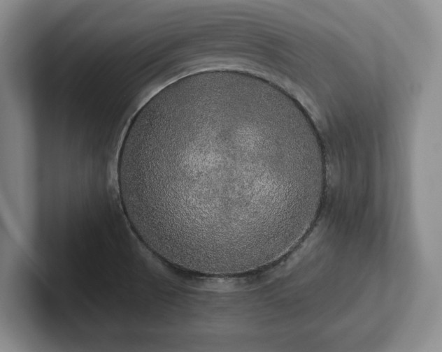 X0000101951521200807251124