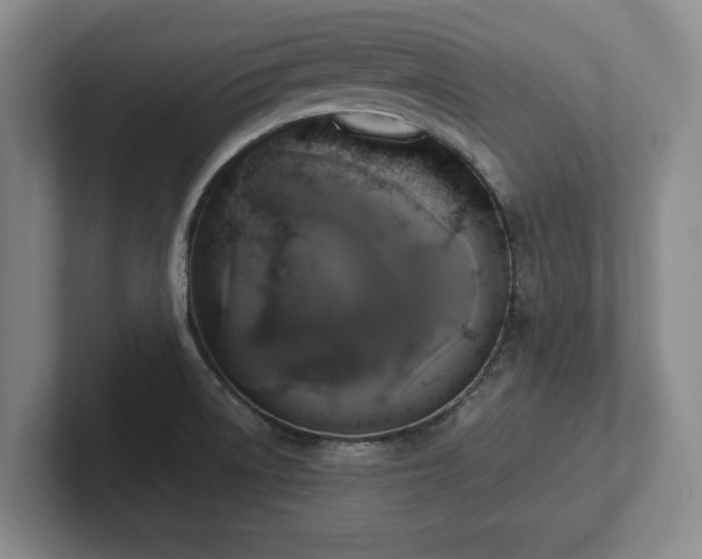 X0000101951522200807251124