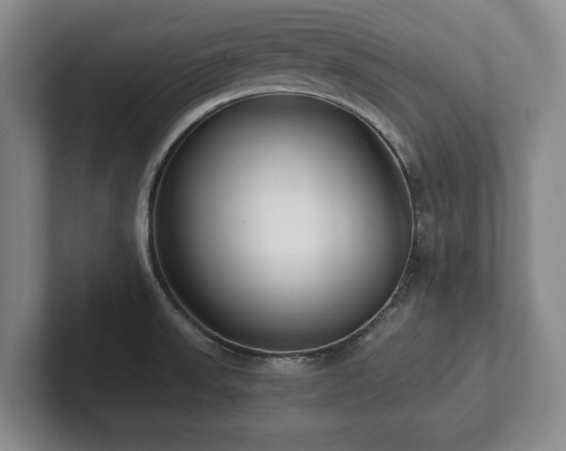 X0000101951523200807251124