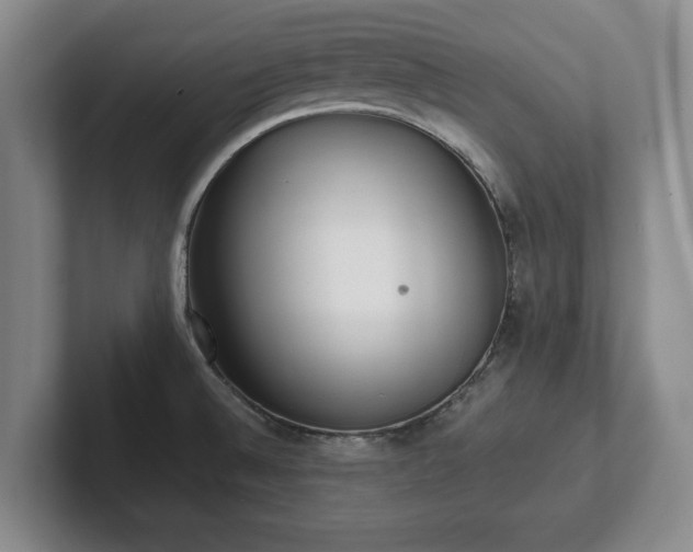 X0000101951524200807251124