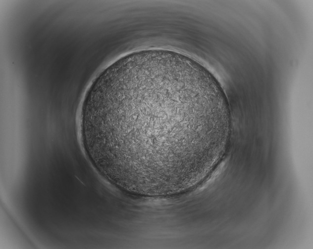X0000101951525200807251124
