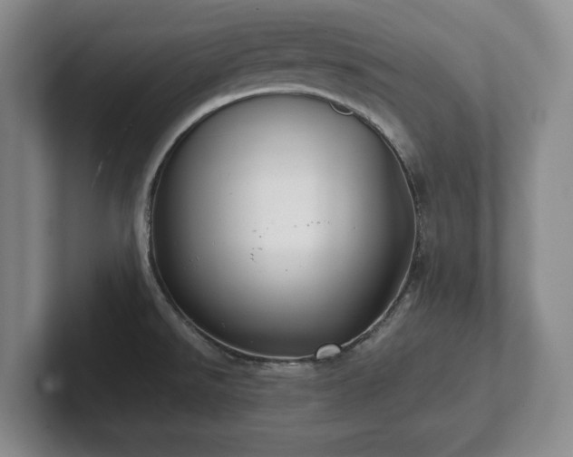 X0000101951526200807251124