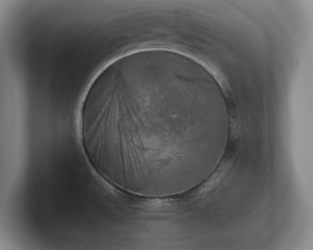 X0000101951527200807251124