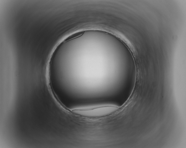 X0000101951528200807251124