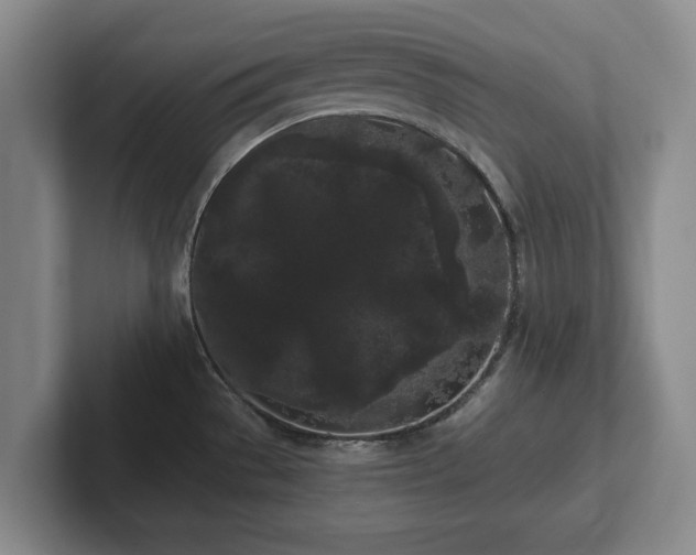 X0000101951529200807251124