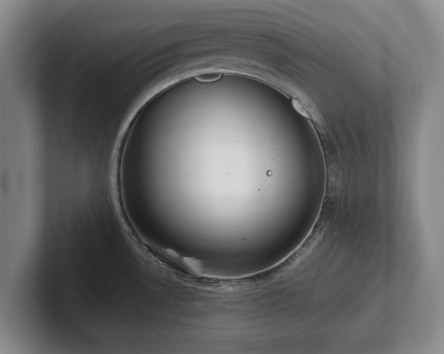 X0000101951530200807251124