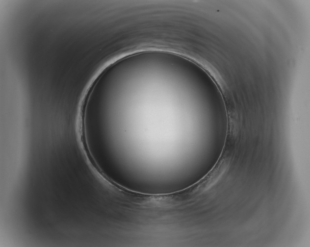 X0000101951531200807251124