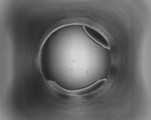 X0000101951532200807251124