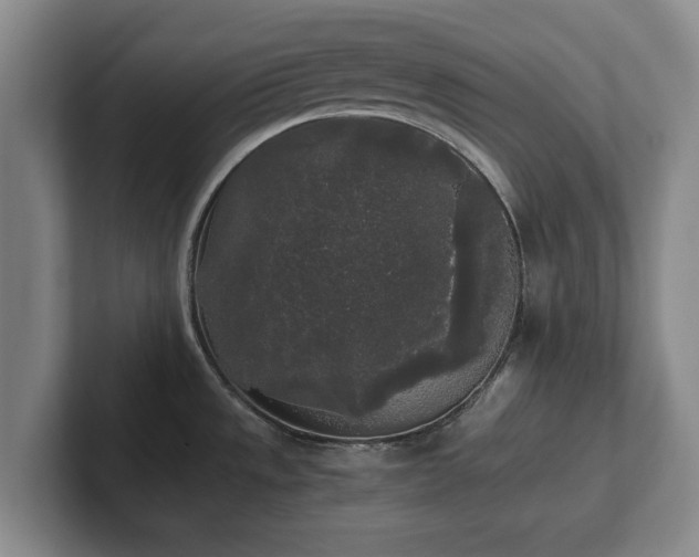 X0000101951533200807251124