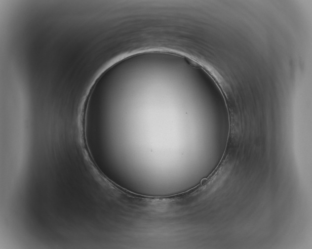 X0000101951534200807251124