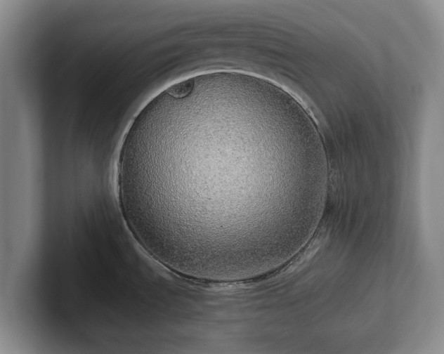 X0000101951535200807251124