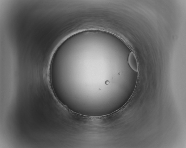 X0000101951536200807251124