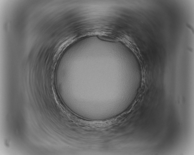 X0000101950001200808011056