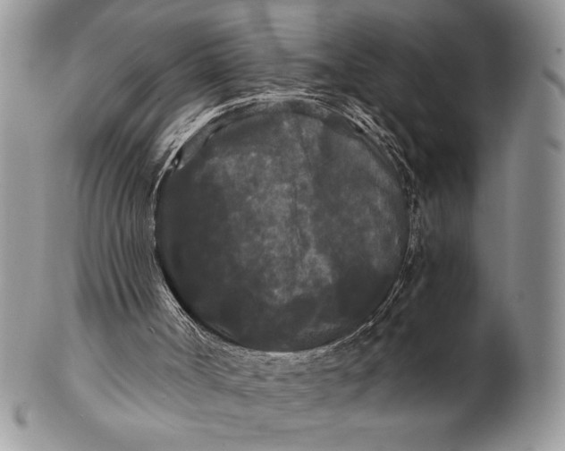 X0000101950002200808011056