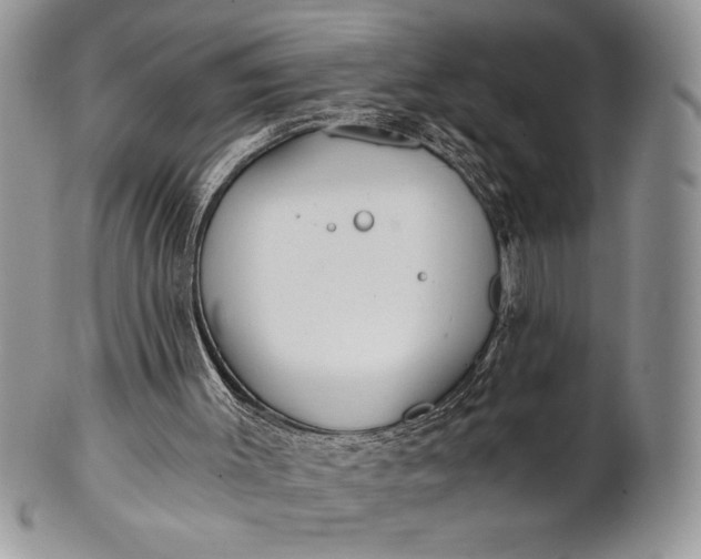 X0000101950003200808011056