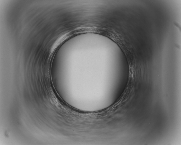 X0000101950004200808011056