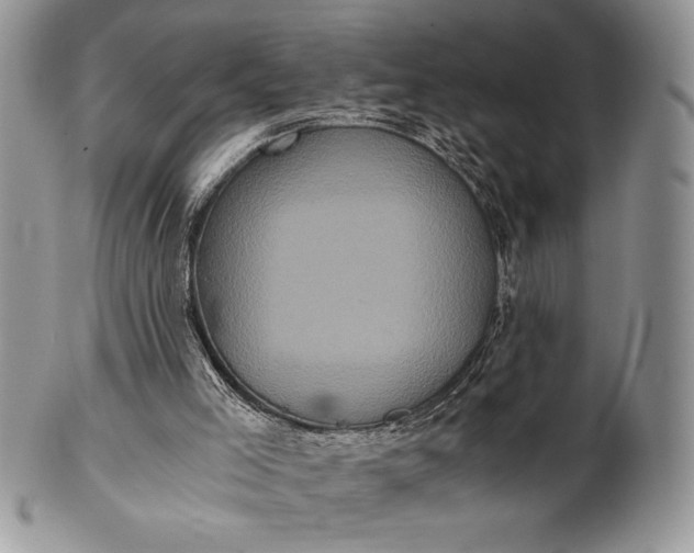 X0000101950005200808011056