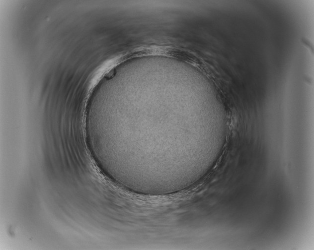 X0000101950006200808011056