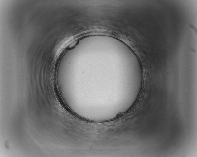 X0000101950007200808011056