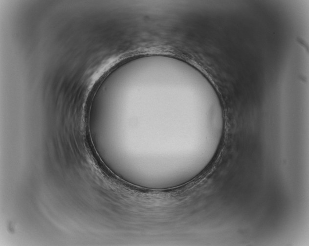 X0000101950008200808011056