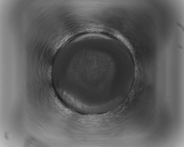 X0000101950009200808011056