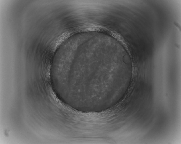 X0000101950010200808011056