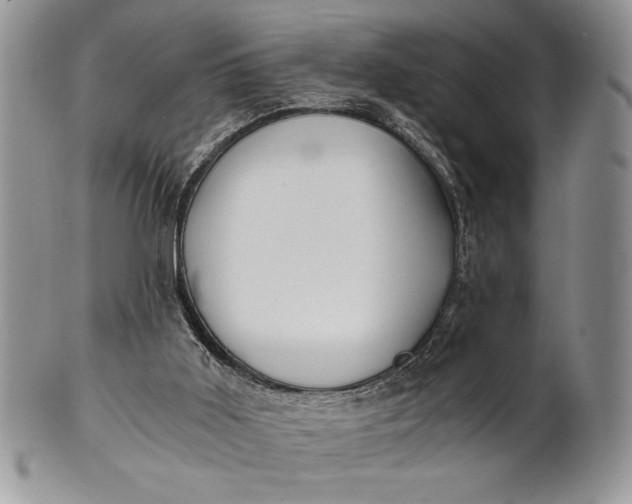 X0000101950011200808011056