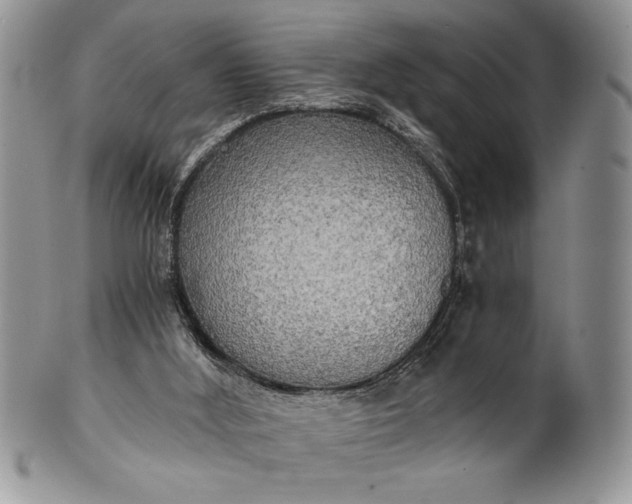 X0000101950012200808011056