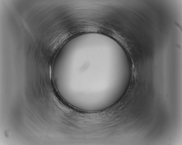 X0000101950013200808011056