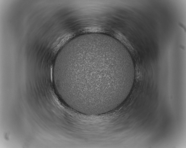 X0000101950014200808011055