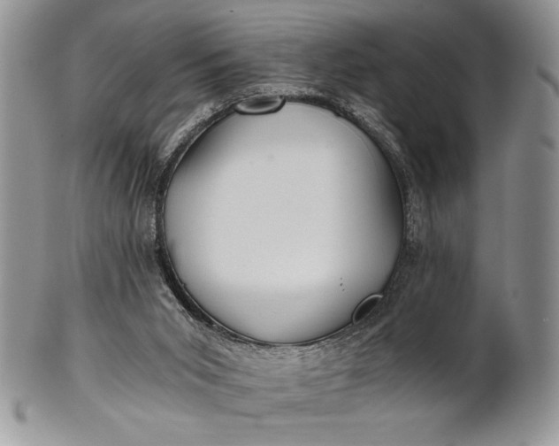 X0000101950015200808011055