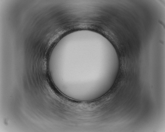 X0000101950016200808011055