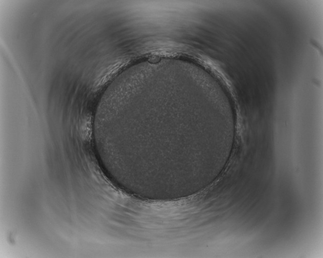 X0000101950017200808011055