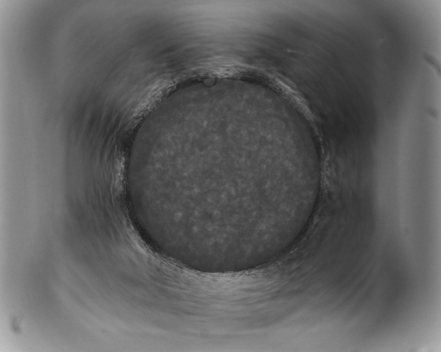 X0000101950018200808011055