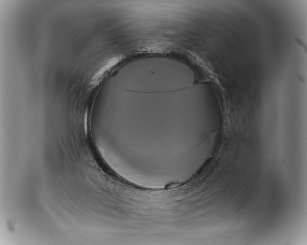 X0000101950019200808011055