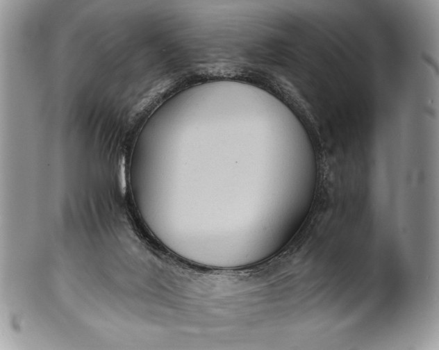 X0000101950020200808011055