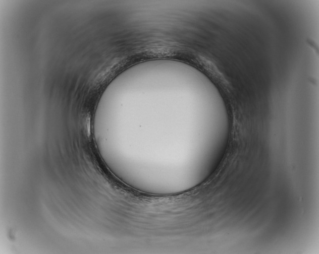 X0000101950021200808011055