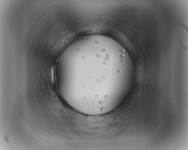 X0000101950022200808011055