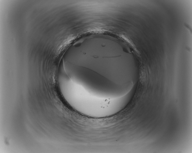 X0000101950023200808011055