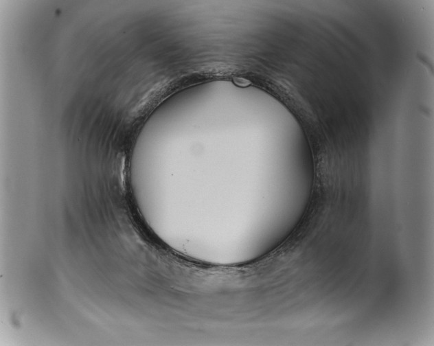 X0000101950024200808011055