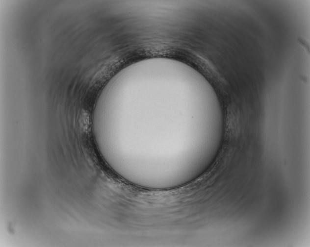 X0000101950025200808011055