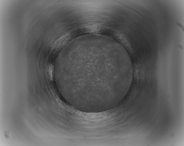 X0000101950026200808011055