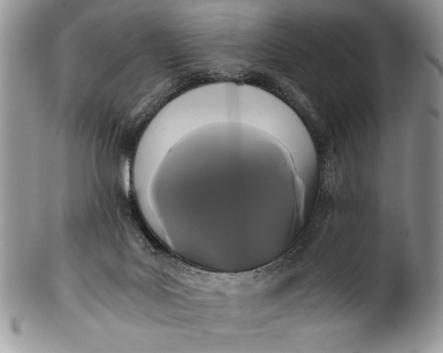 X0000101950027200808011055